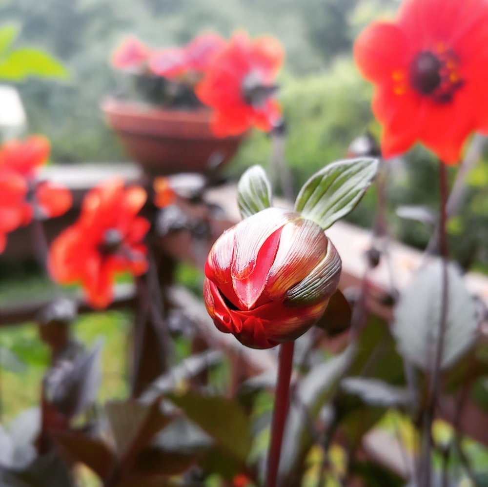 AMAZING SALE! Get unique hand crafted gifts here ❤❤❤ - Picture 8 of 13